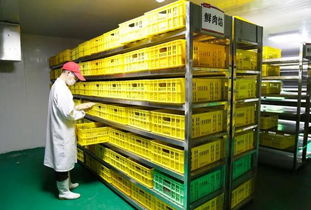 揭秘和善園中央廚房 日產20多噸餡料的現代化食品工廠與人性化員工住宿服務